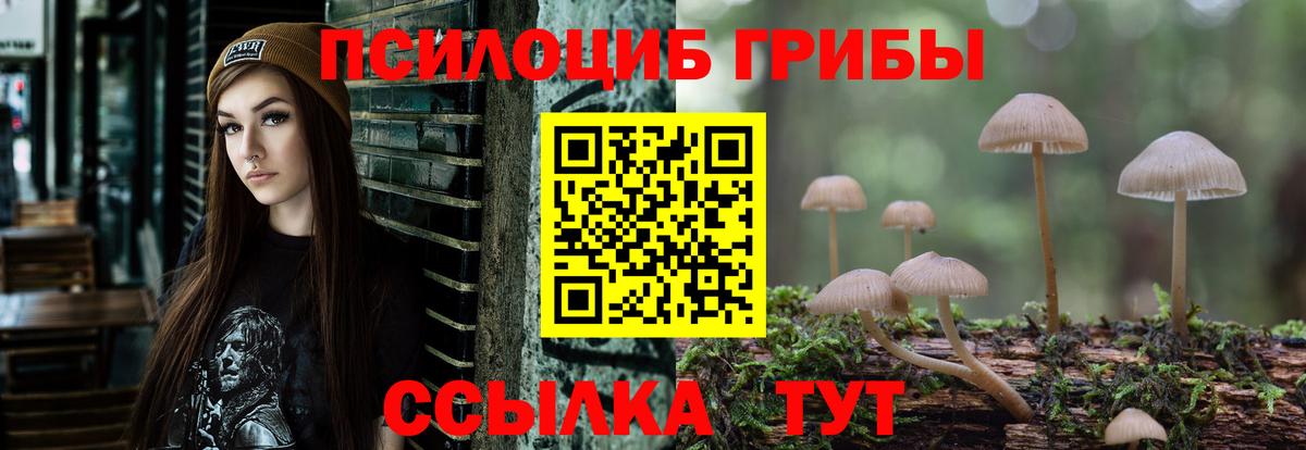 Галлюциногенные грибы ЛСД  Галлюциногенные грибы мухоморы  магазин    Шарыпово  Вход с VPN 
